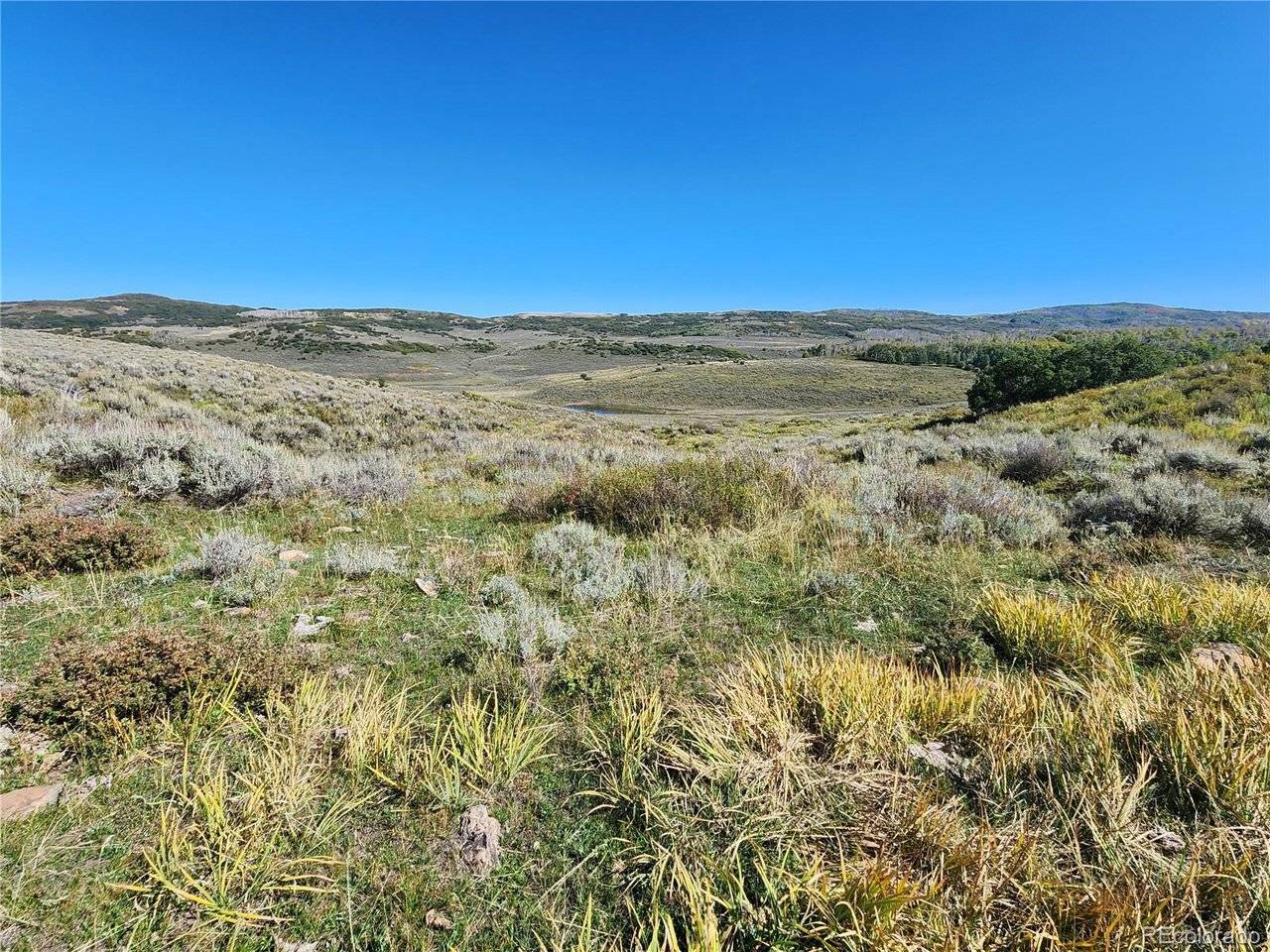Address not disclosed, Gateway, CO 81522