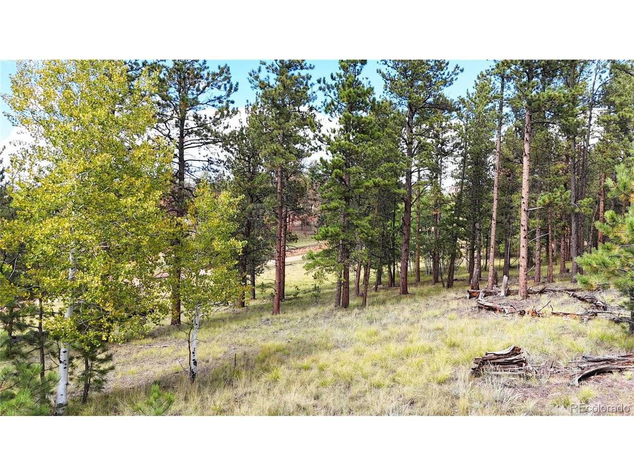 2265 Vagabond Creek, Lake George, CO 80827