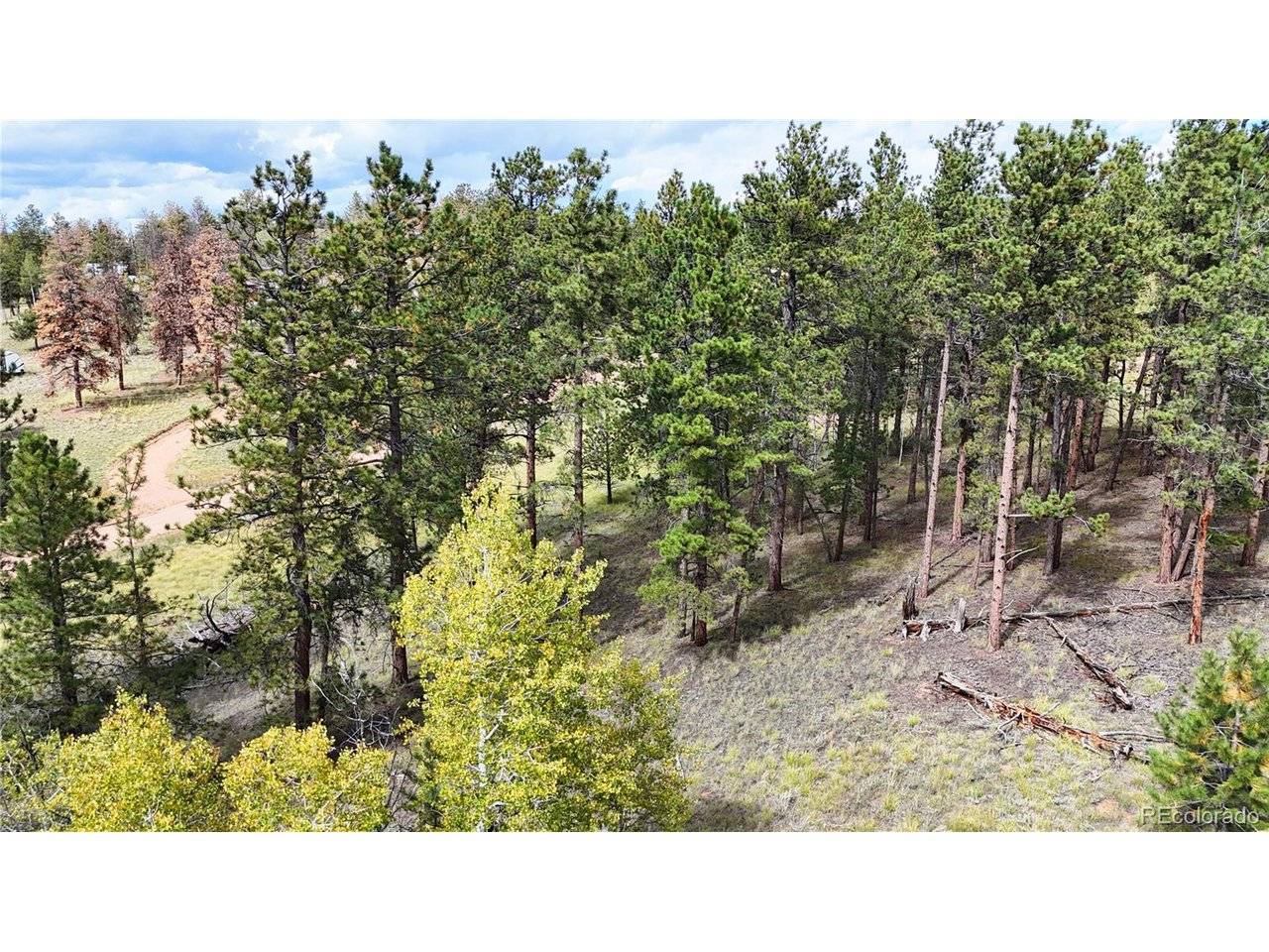 2265 Vagabond Creek, Lake George, CO 80827
