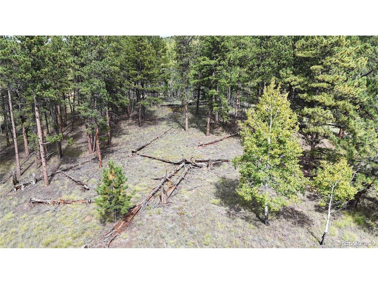 2265 Vagabond Creek, Lake George, CO 80827