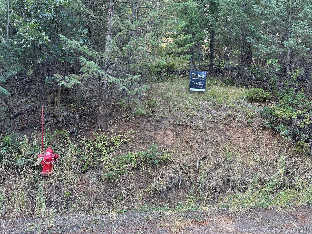 5296 Cherokee, Indian Hills, CO 80454