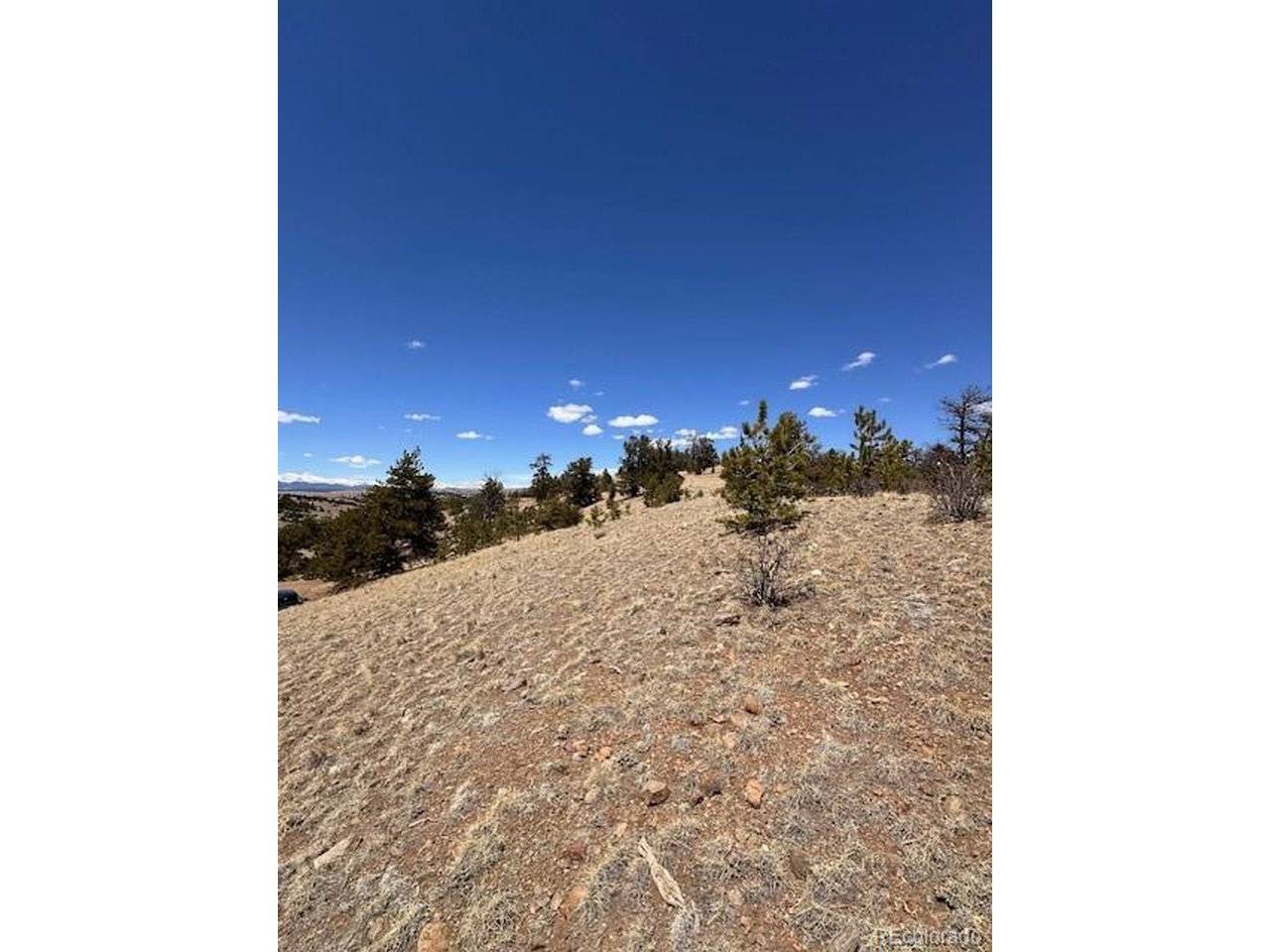 2972 Fitzsimmons, Hartsel, CO 80449