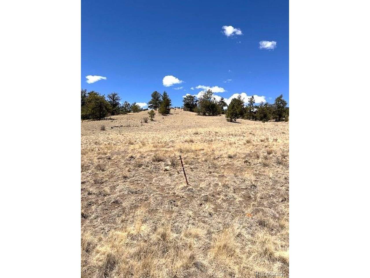 2972 Fitzsimmons, Hartsel, CO 80449