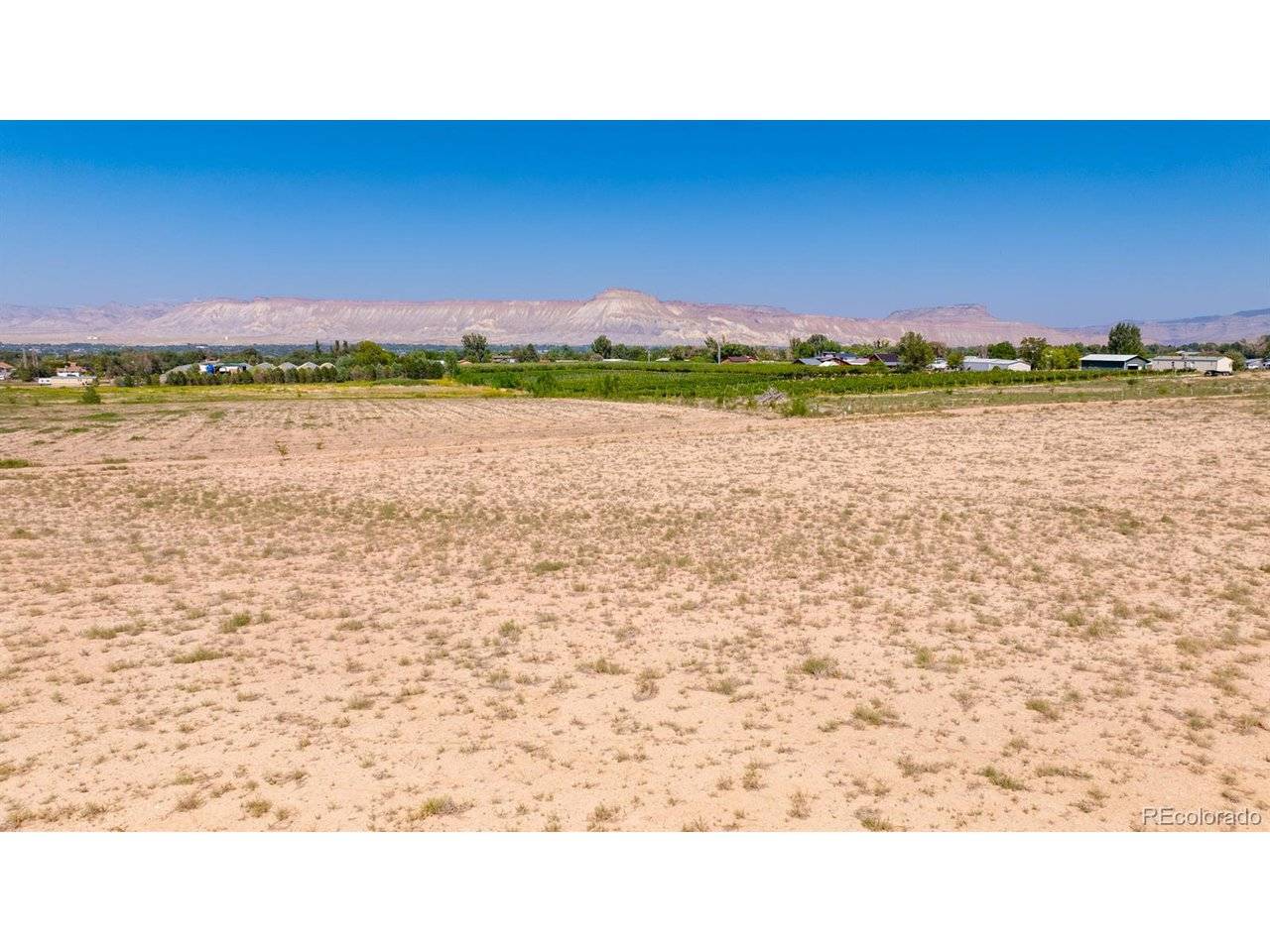 267 33, Palisade, CO 81526