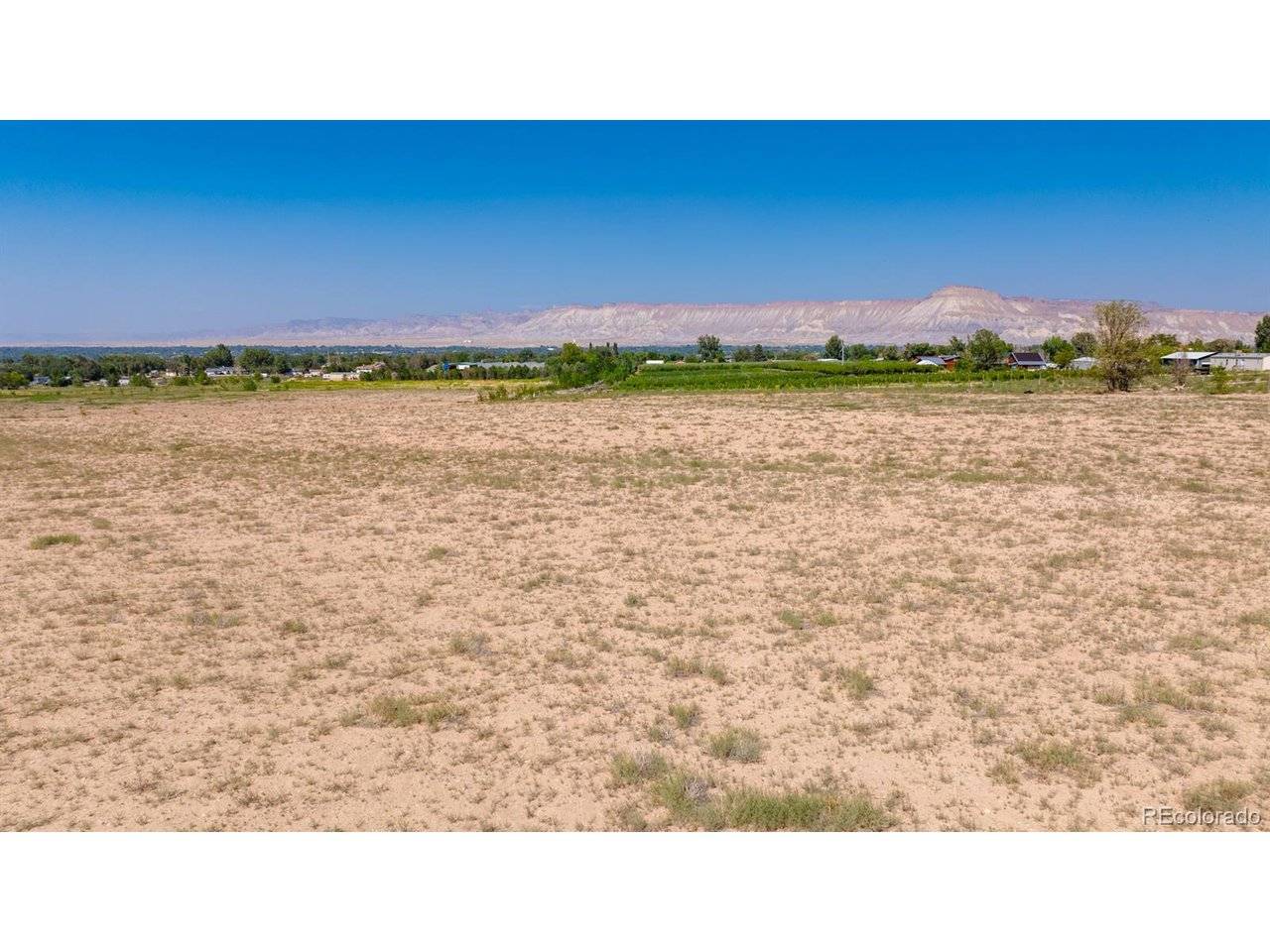 267 33, Palisade, CO 81526