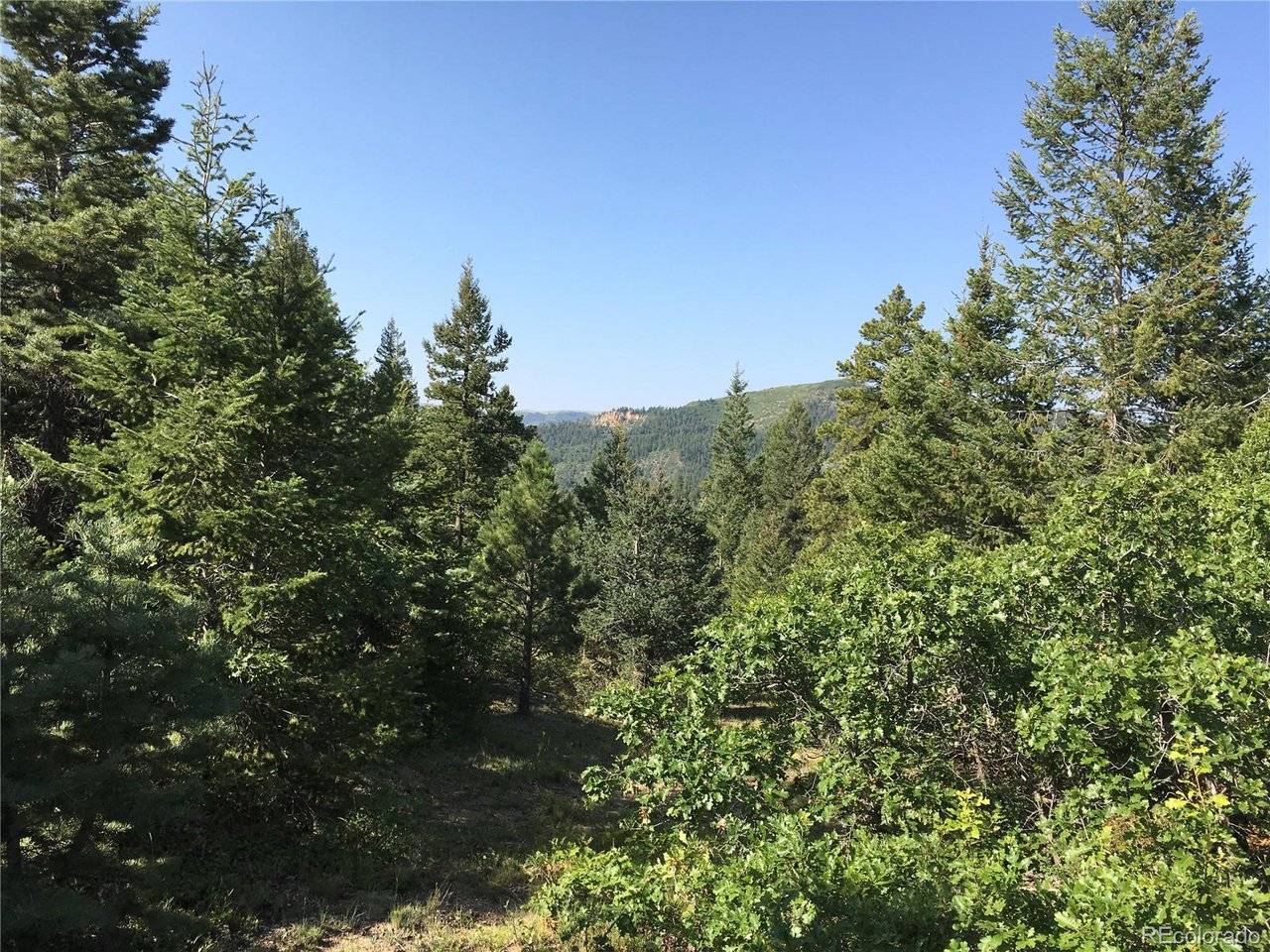 Peak View Ridge, Canon City, CO 81212