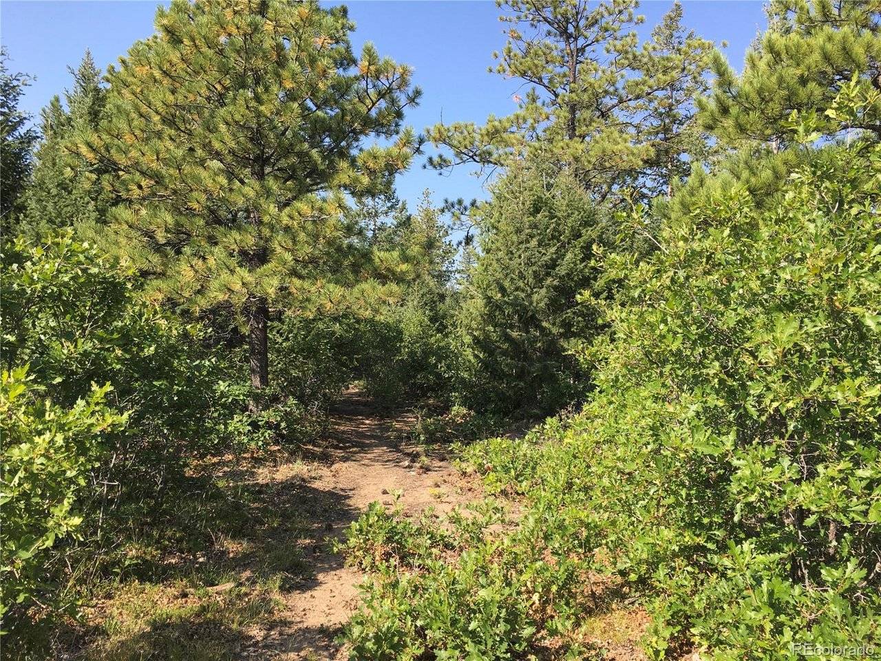 Peak View Ridge, Canon City, CO 81212