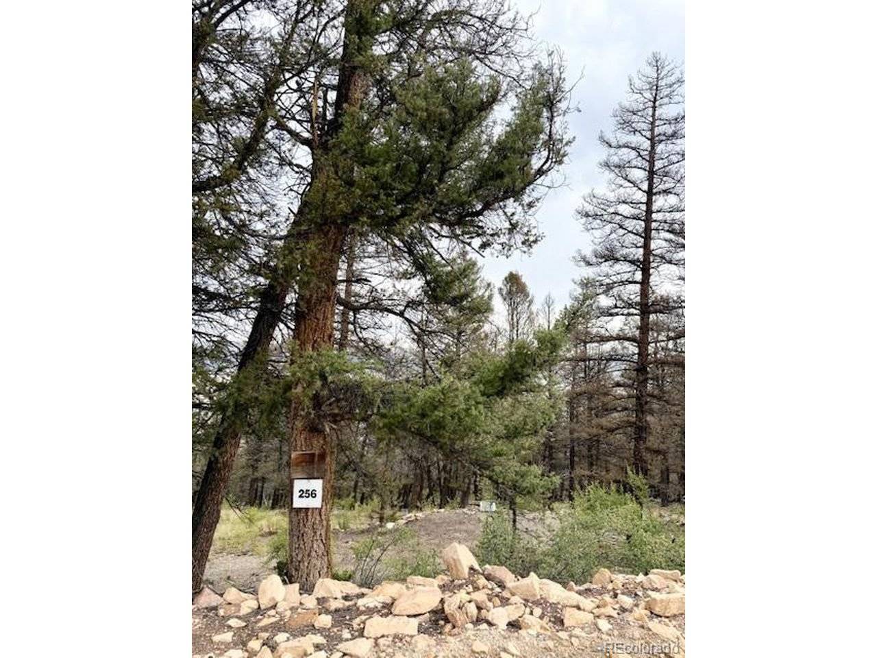 0 Middle Fork, Fairplay, CO 80440