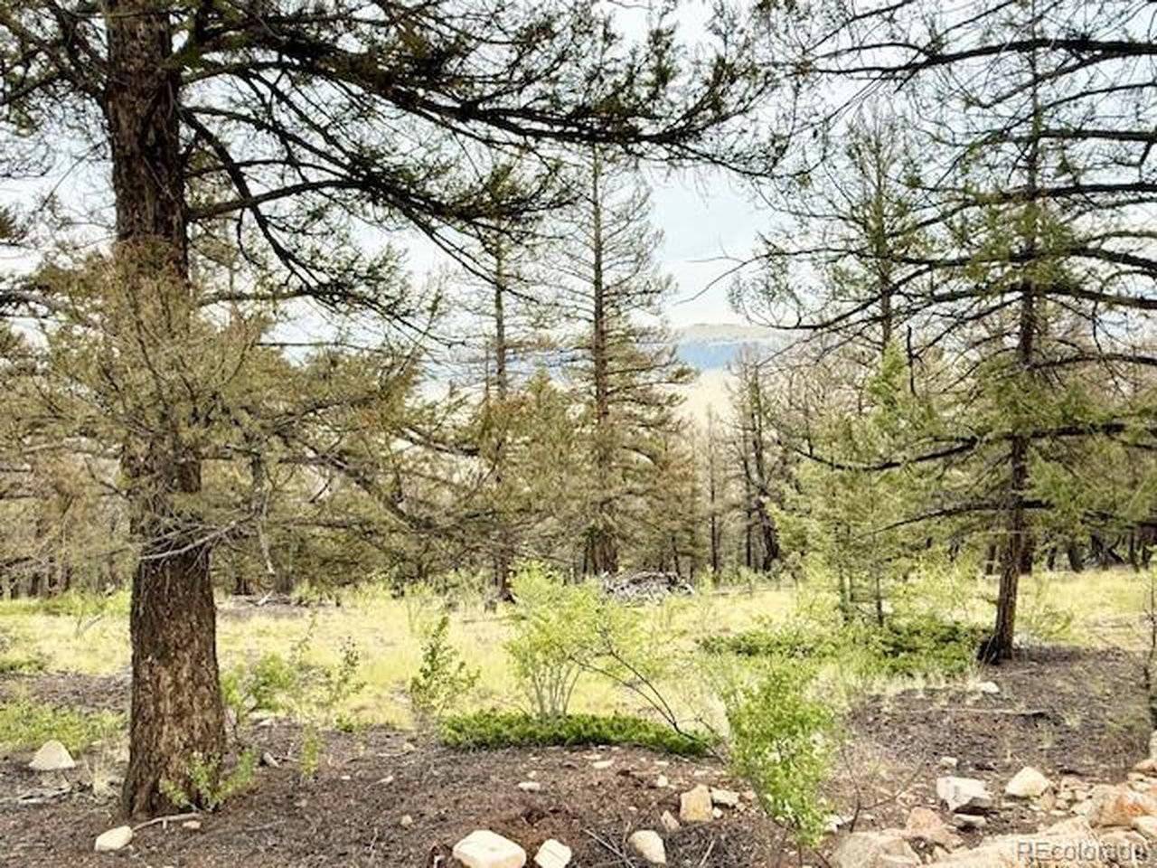 0 Middle Fork, Fairplay, CO 80440