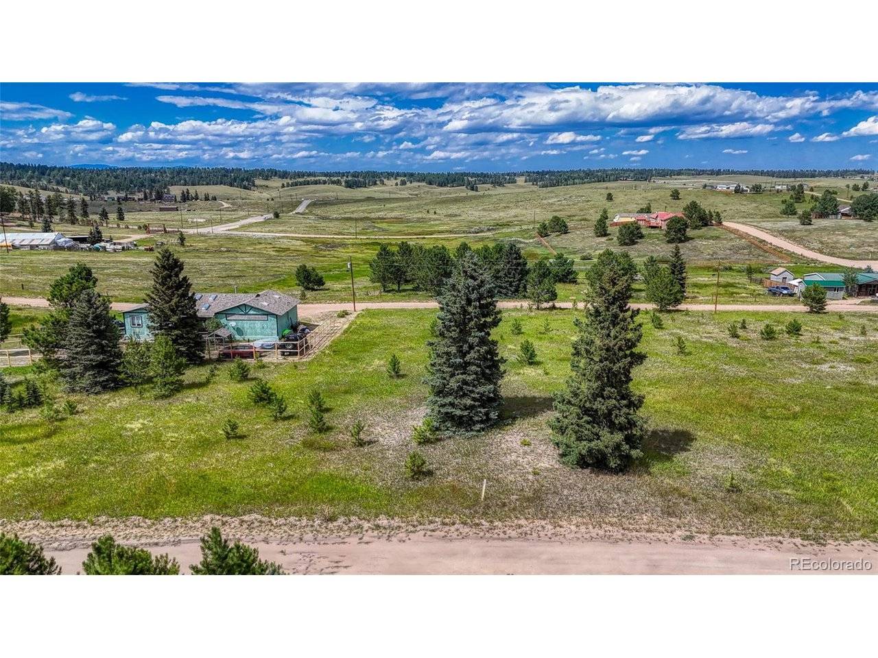 1129 Will Scarlet, Divide, CO 80814
