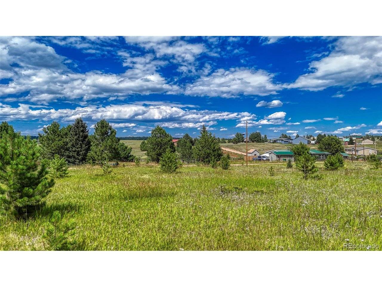 1129 Will Scarlet, Divide, CO 80814