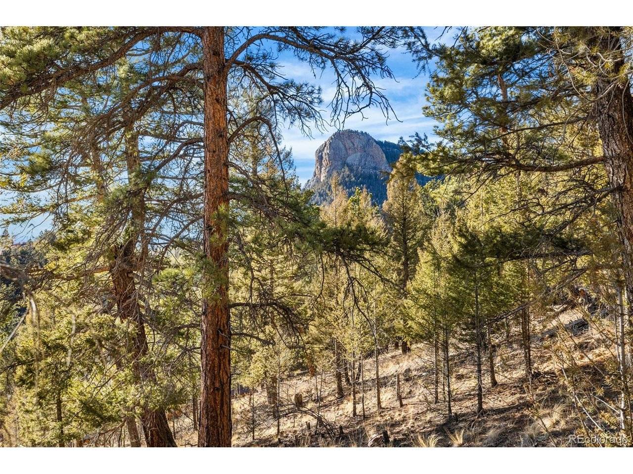 35441 Upper Aspen, Pine, CO 80470
