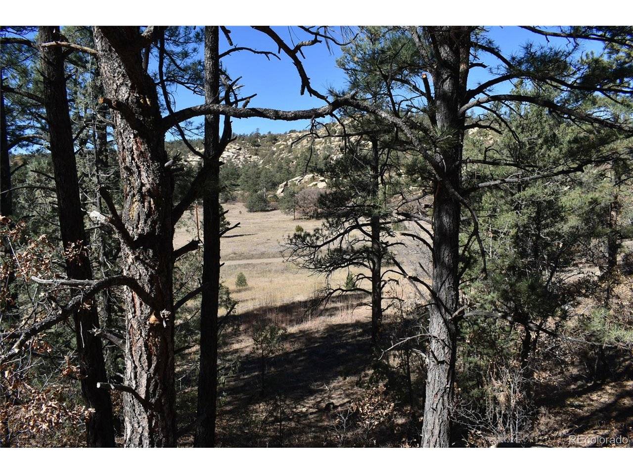 268 RANCHO LA GARITA FILING NO-8,, Weston, CO 81091