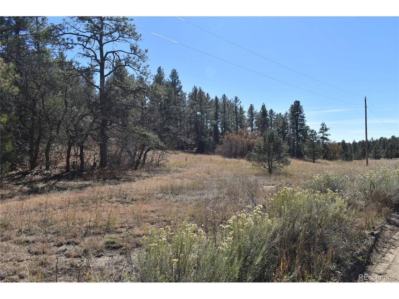 268 RANCHO LA GARITA FILING NO-8,, Weston, CO 81091