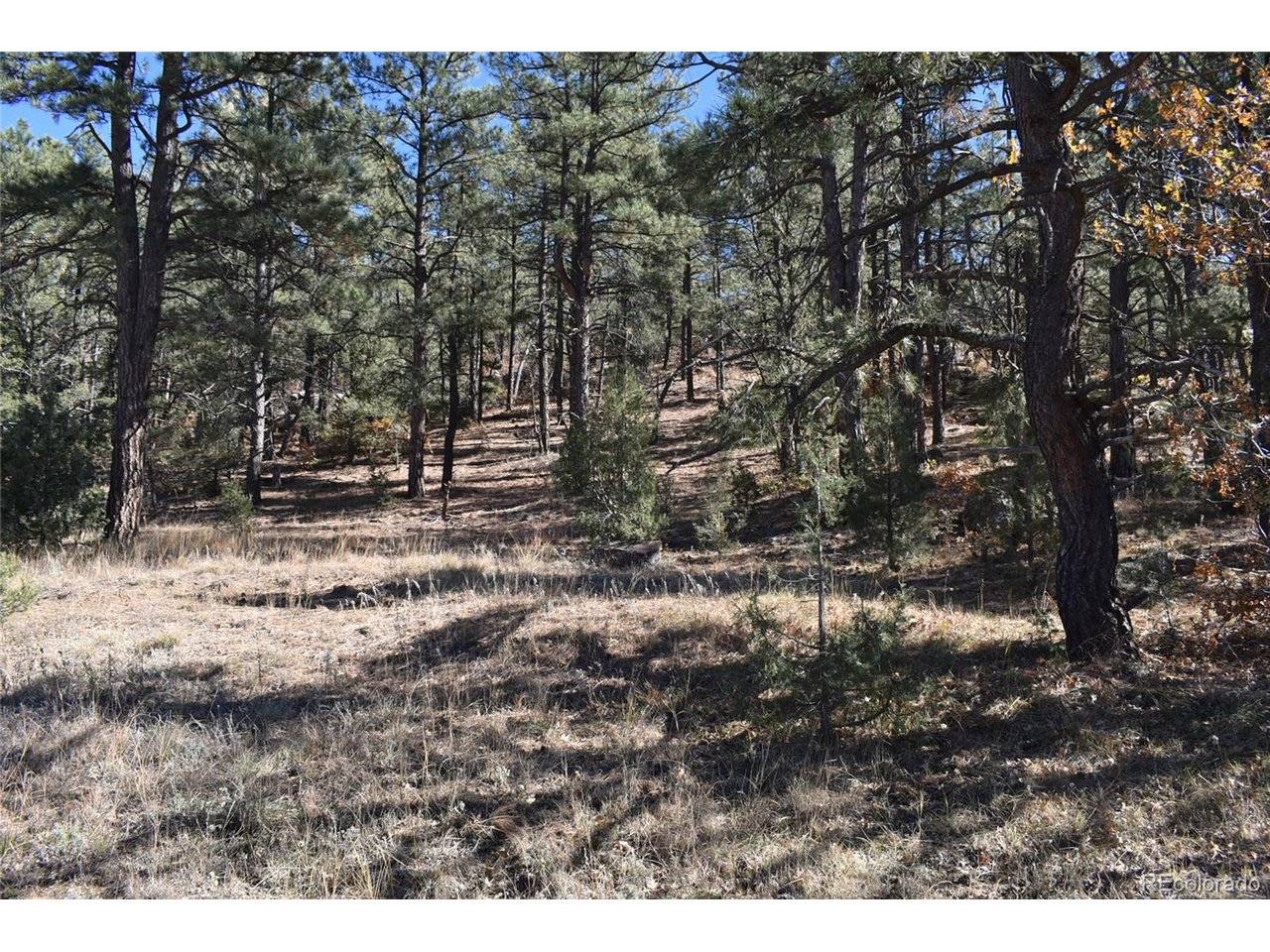 268 RANCHO LA GARITA FILING NO-8,, Weston, CO 81091