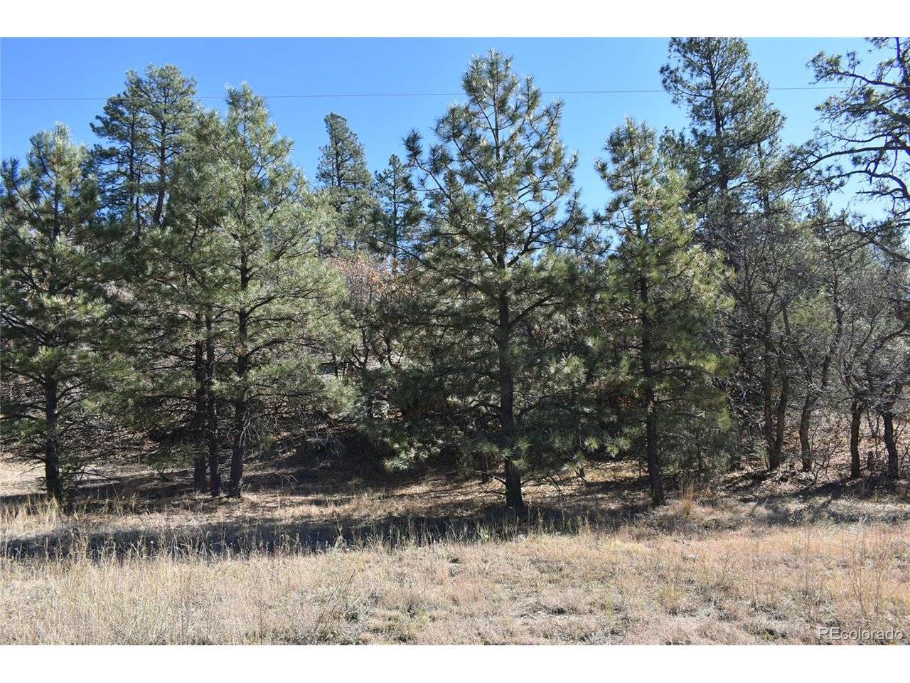 268 RANCHO LA GARITA FILING NO-8,, Weston, CO 81091
