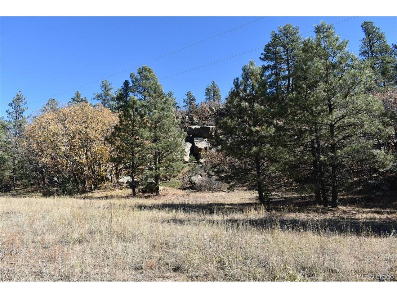 268 RANCHO LA GARITA FILING NO-8,, Weston, CO 81091