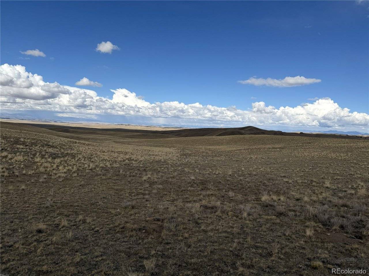 Wichita, Hartsel, CO 80449