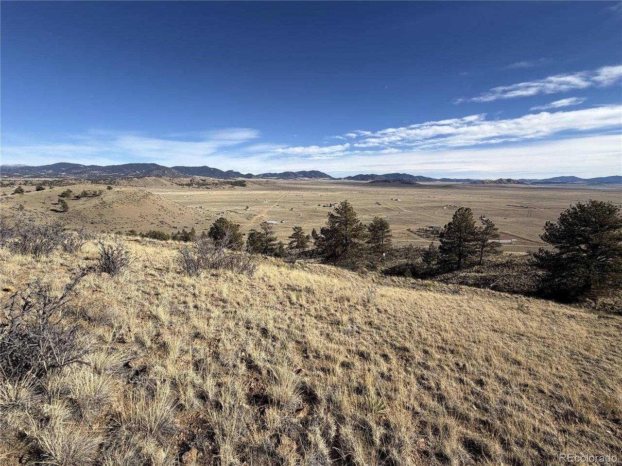 Oak, Hartsel, CO 80449