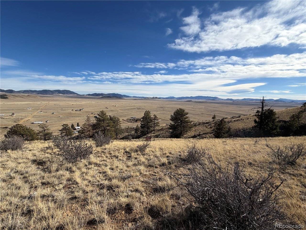 Oak, Hartsel, CO 80449