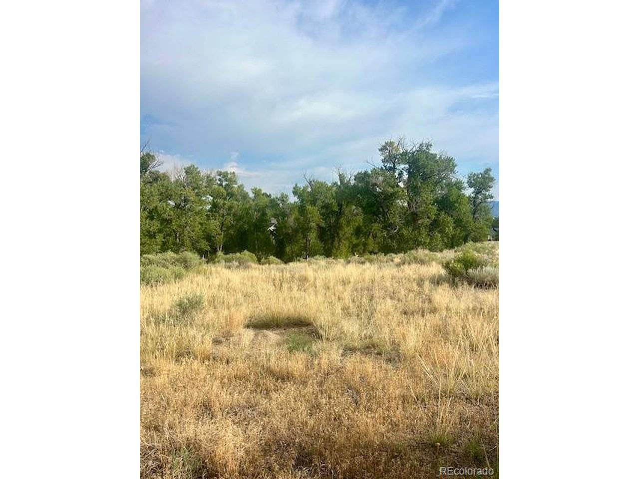 1122 Little River, Poncha Springs, CO 81242