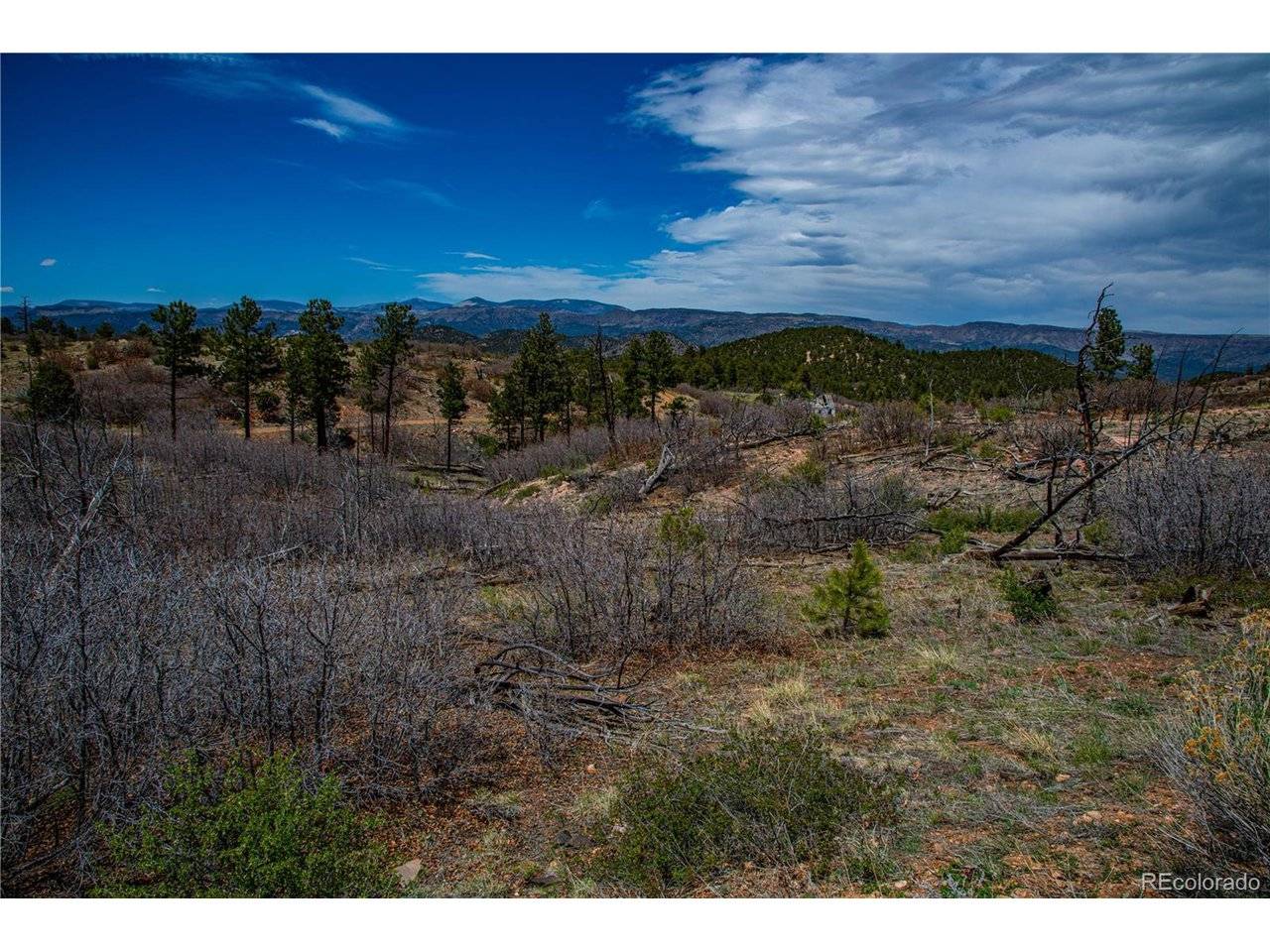 221 Cottonwood, Cotopaxi, CO 81223