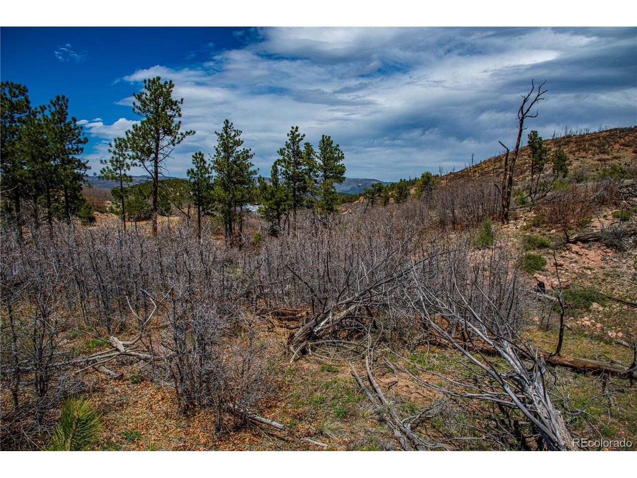 221 Cottonwood, Cotopaxi, CO 81223