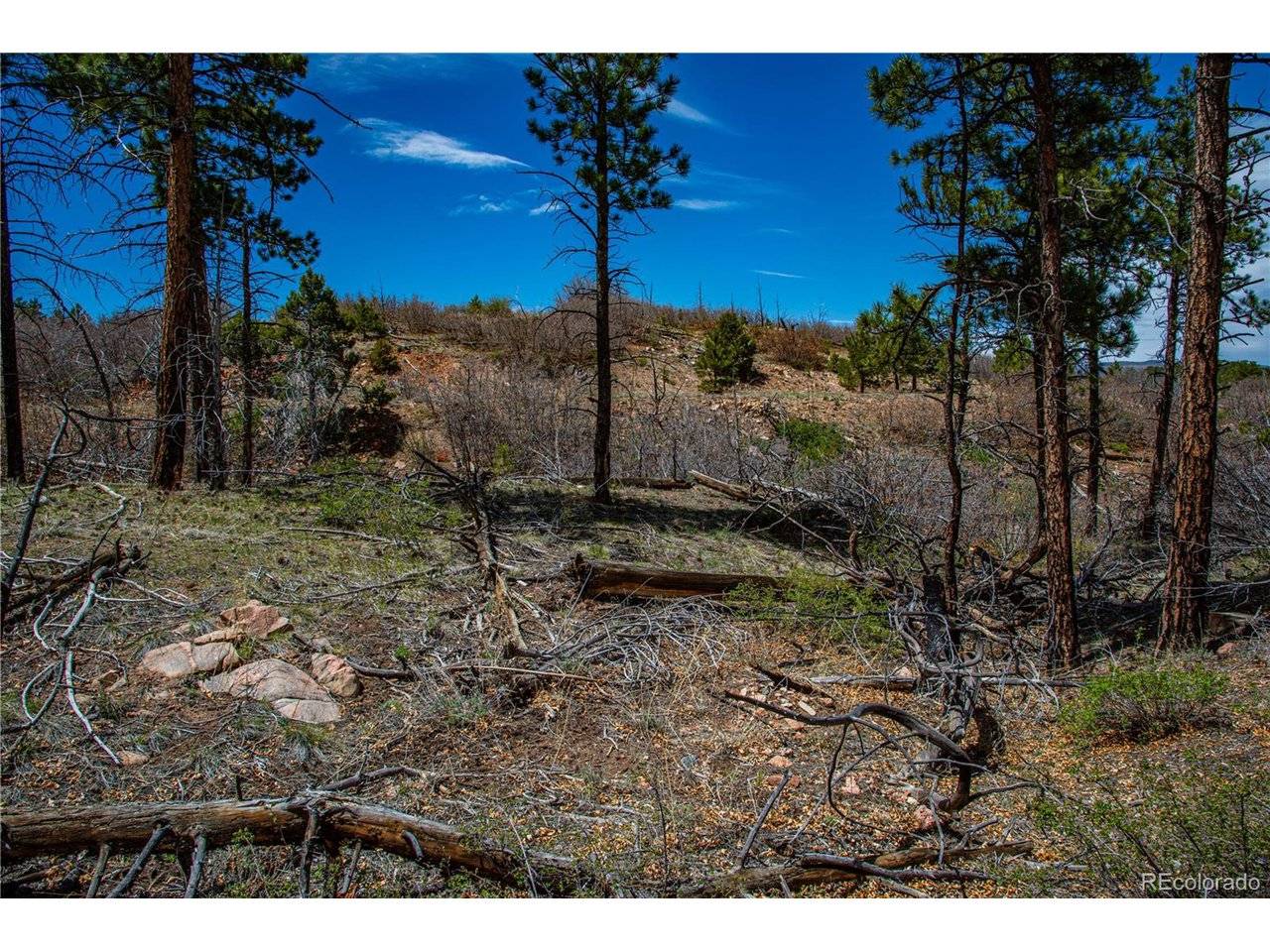 221 Cottonwood, Cotopaxi, CO 81223