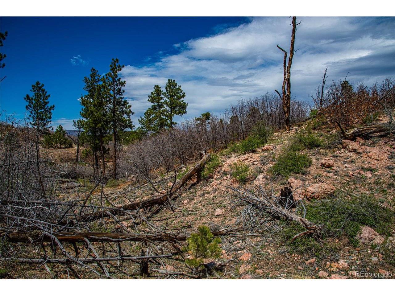 221 Cottonwood, Cotopaxi, CO 81223