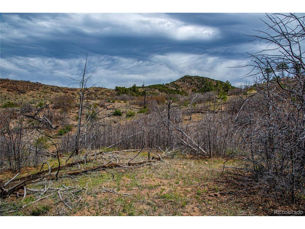 221 Cottonwood, Cotopaxi, CO 81223