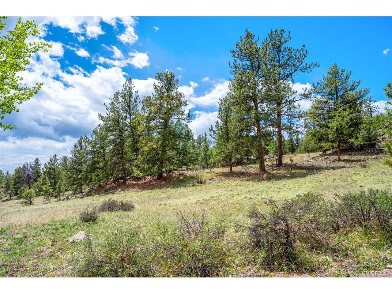 527 Plateau, Guffey, CO 80820