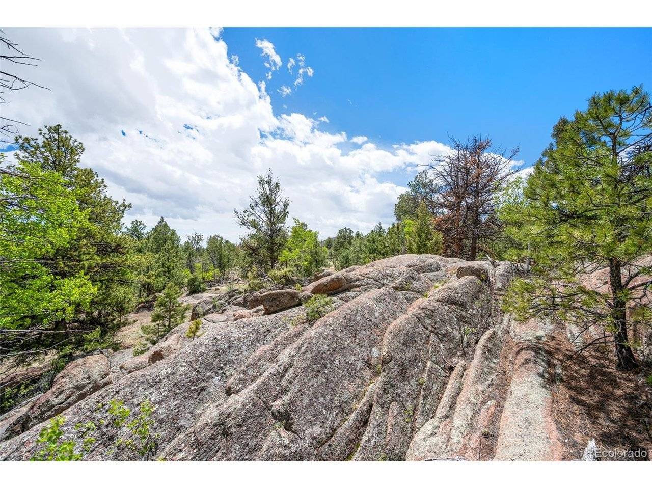 527 Plateau, Guffey, CO 80820