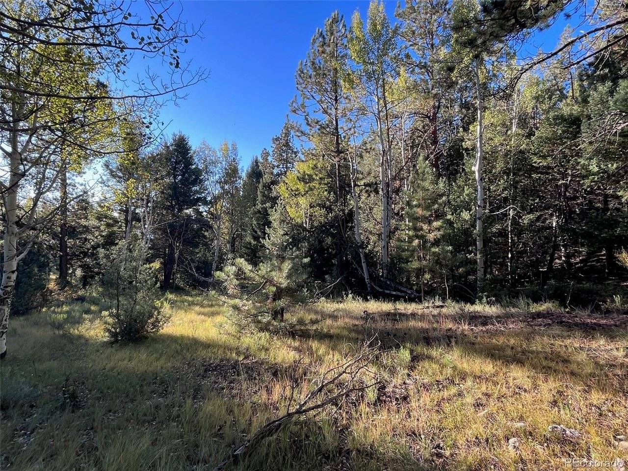 14759 Quartz, Salida, CO 81201