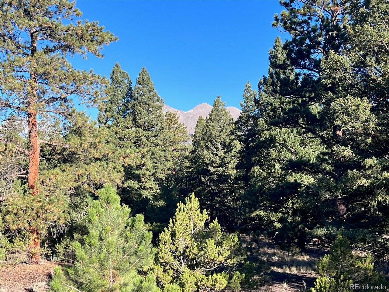 14759 Quartz, Salida, CO 81201