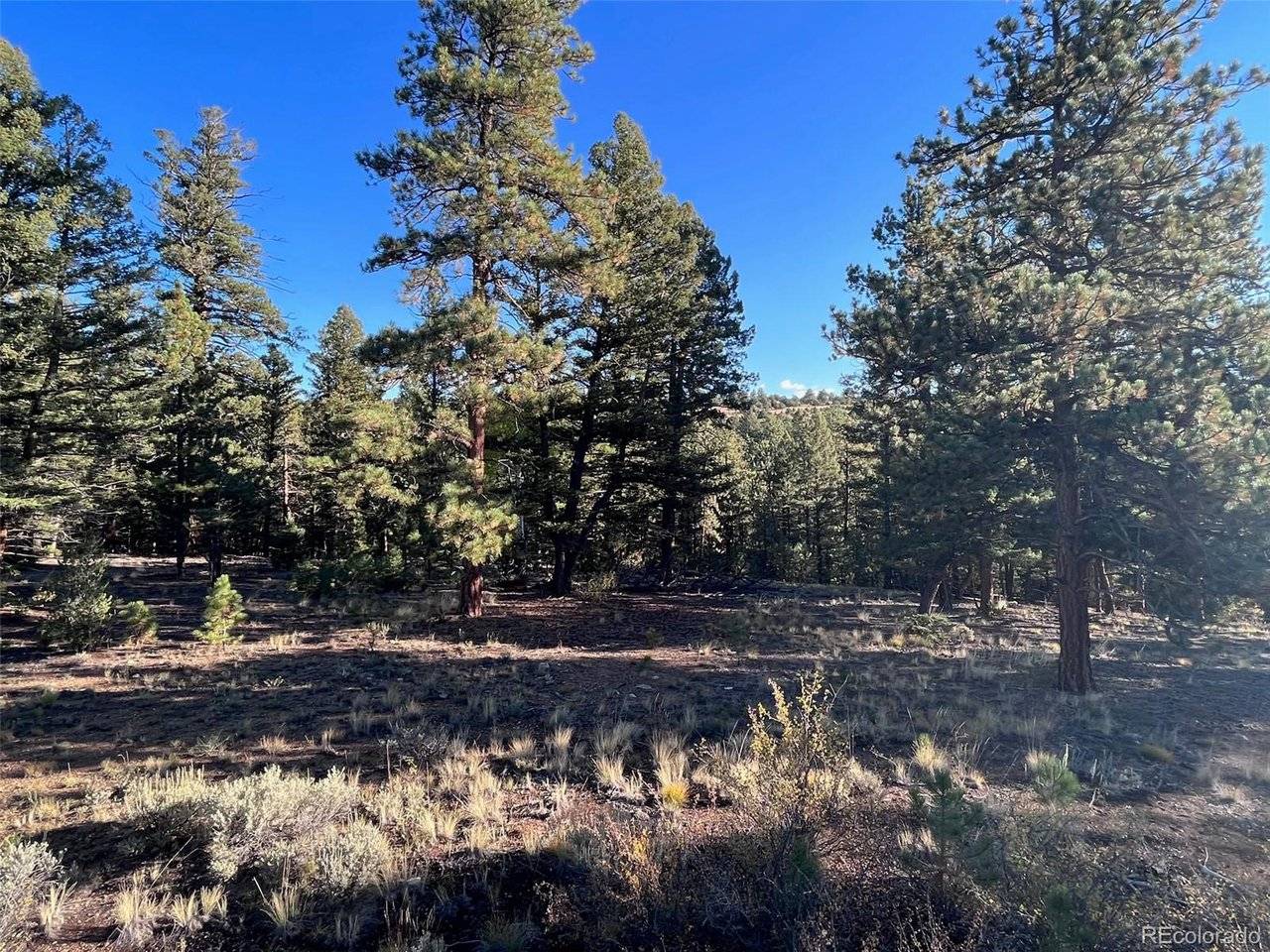 14759 Quartz, Salida, CO 81201