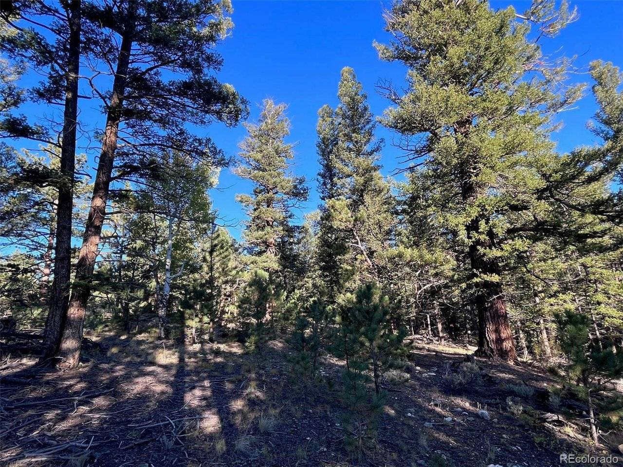 14759 Quartz, Salida, CO 81201