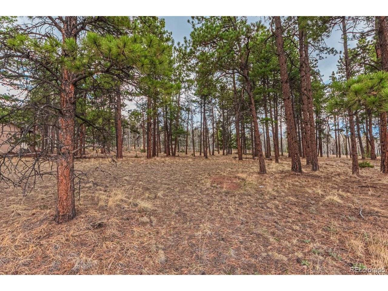 1290 Firestone, Woodland Park, CO 80863