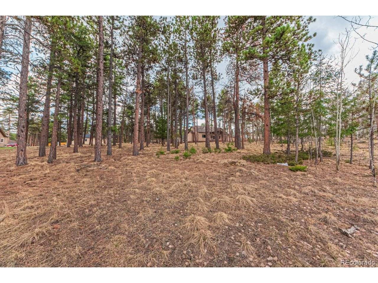 1290 Firestone, Woodland Park, CO 80863