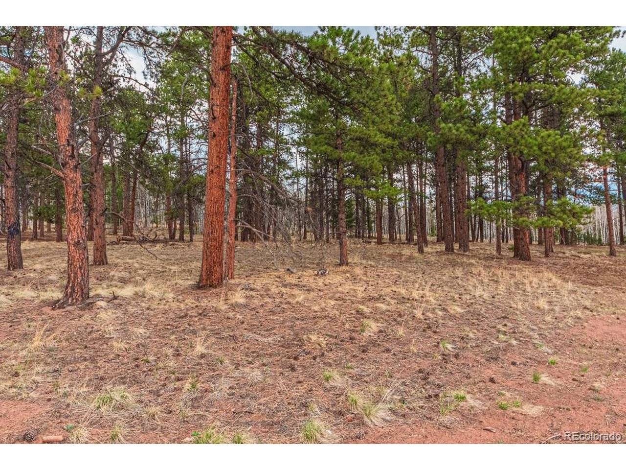 1290 Firestone, Woodland Park, CO 80863