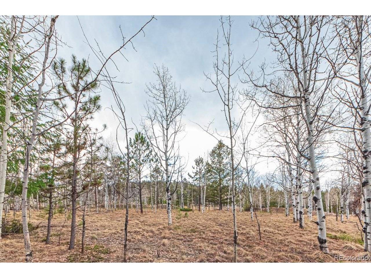 1290 Firestone, Woodland Park, CO 80863