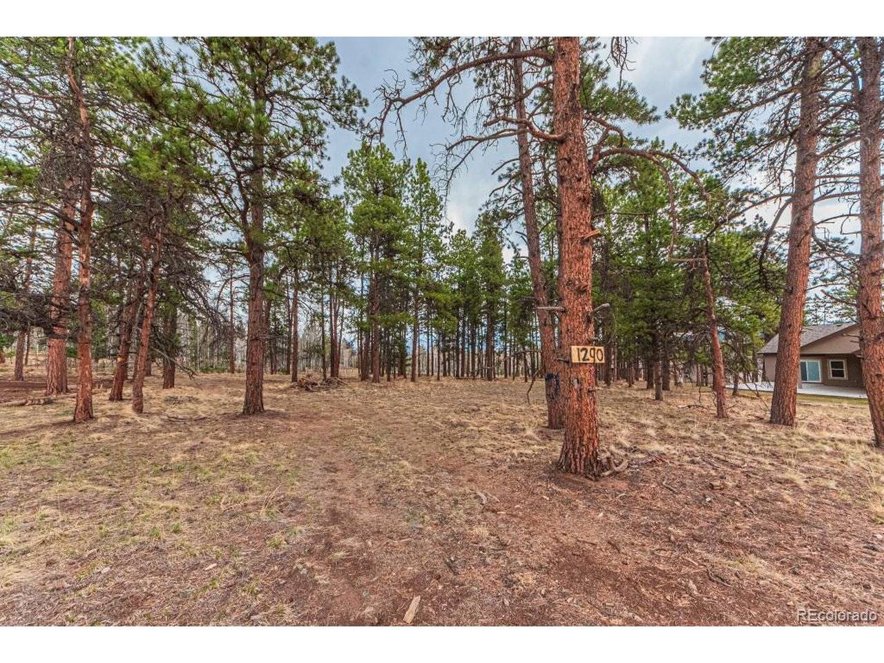 1290 Firestone, Woodland Park, CO 80863