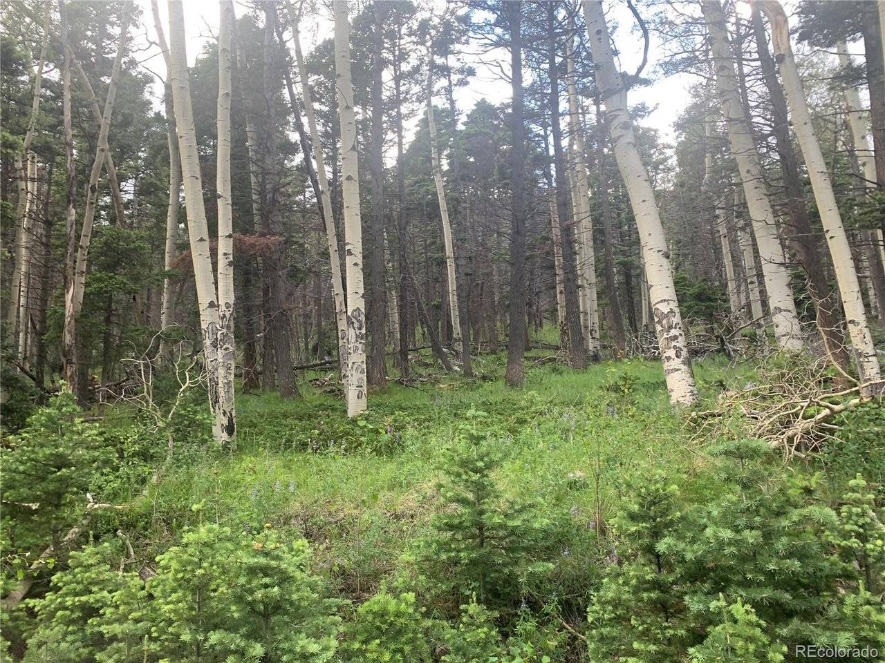 2952 LARRY, Fort Garland, CO 81133