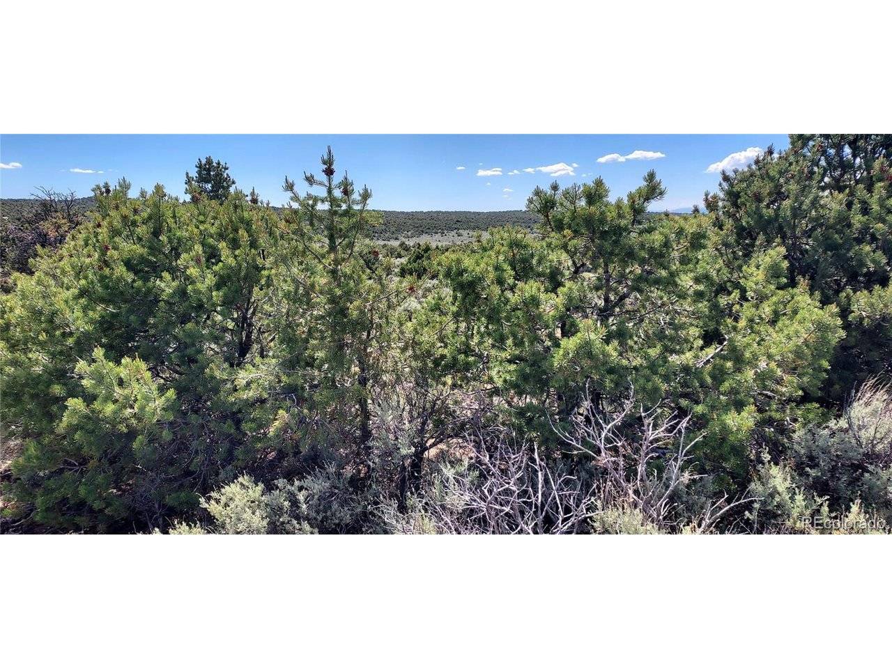 Address not disclosed, San Luis, CO 81152