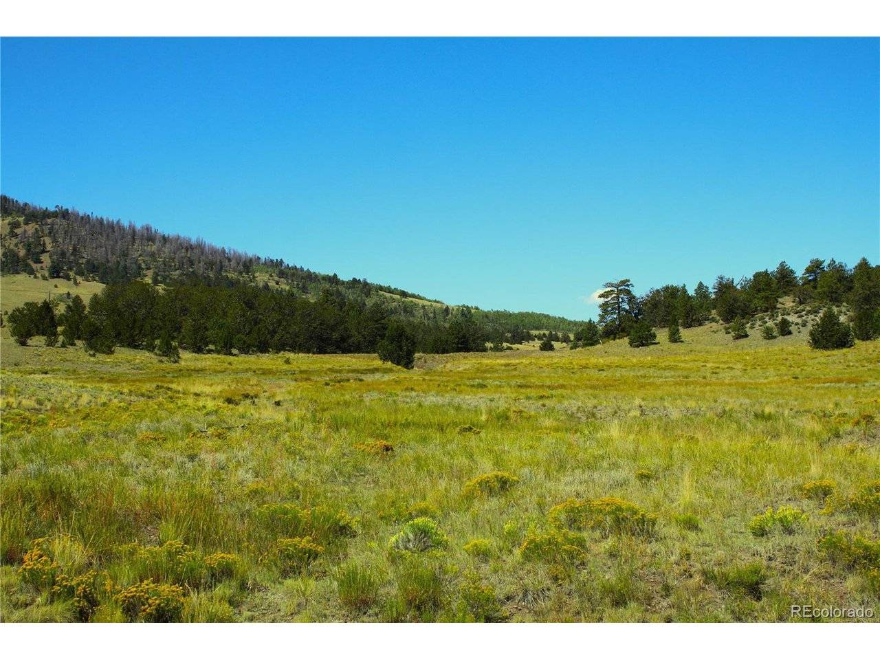 State 9, Guffey, CO 80820