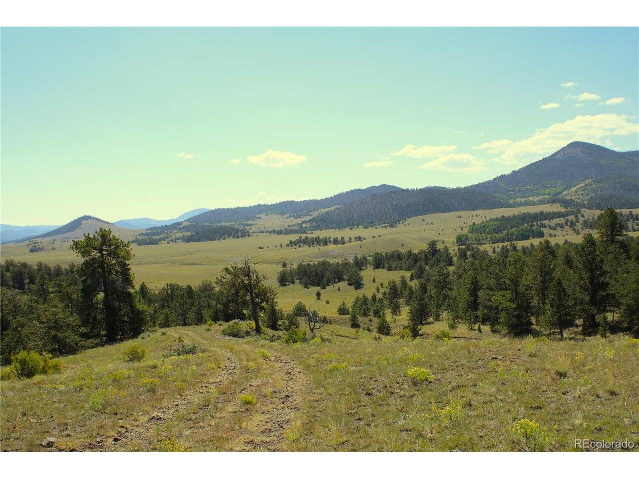 State 9, Guffey, CO 80820