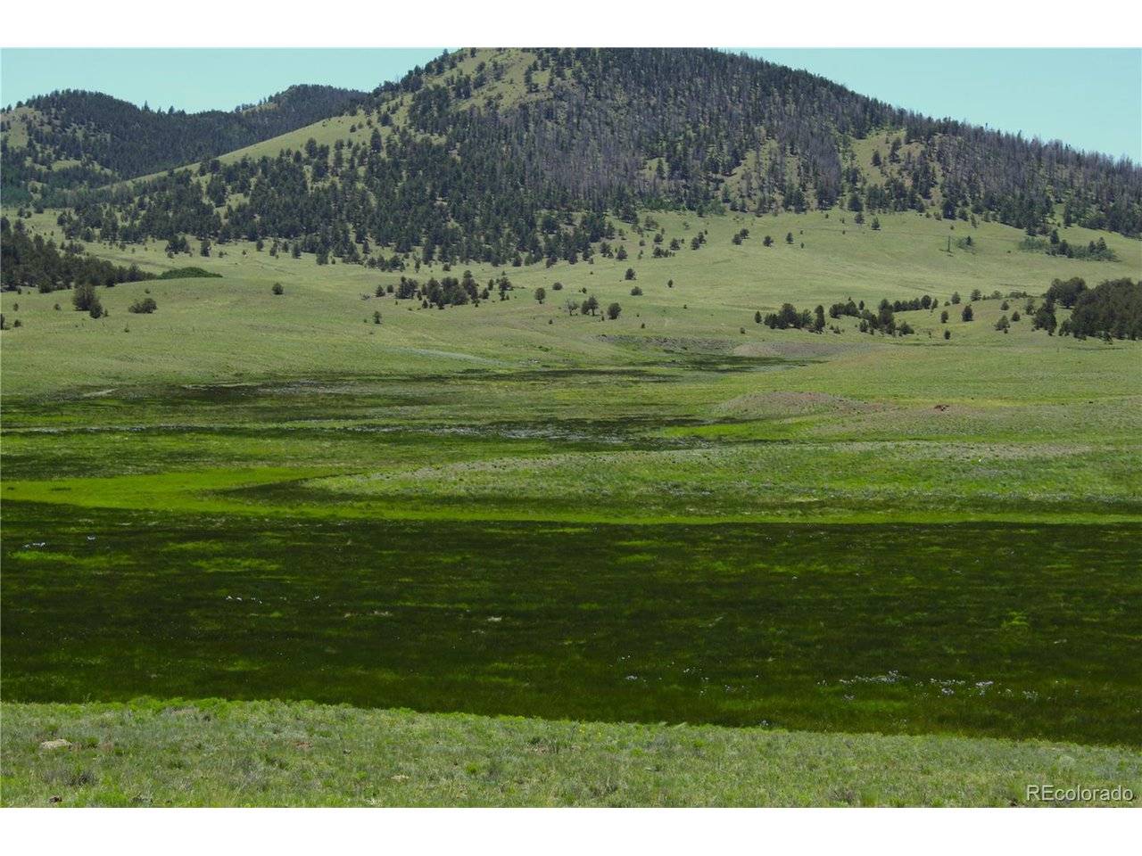 State 9, Guffey, CO 80820
