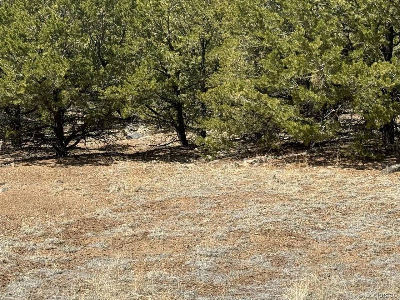 103 Ute, Mosca, CO 81146