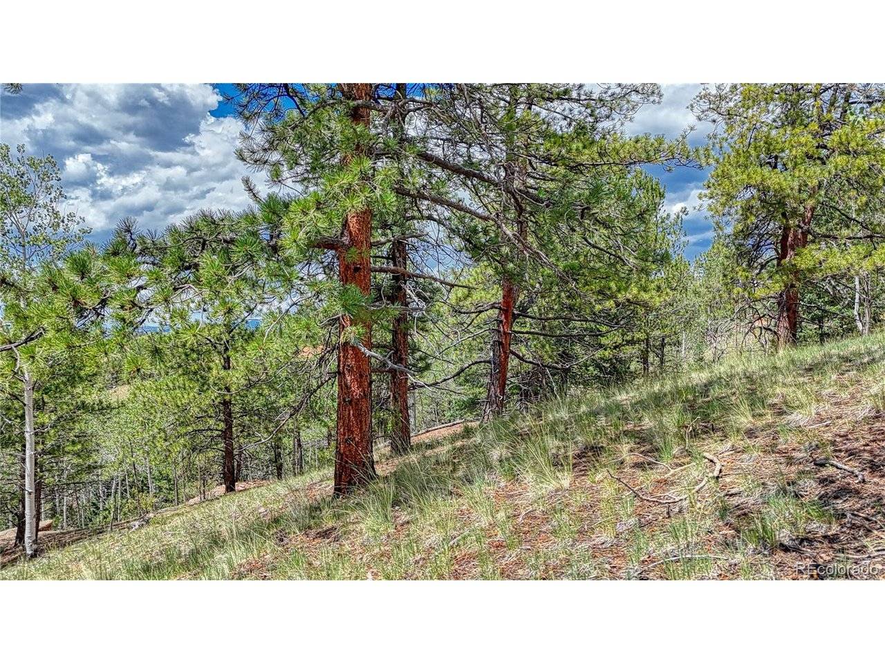 24 Wild Horse, Cripple Creek, CO 80813