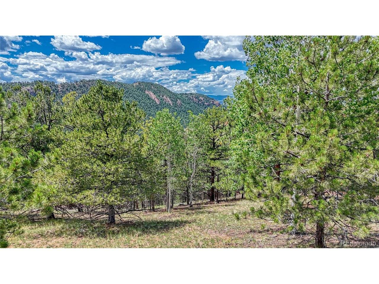 24 Wild Horse, Cripple Creek, CO 80813