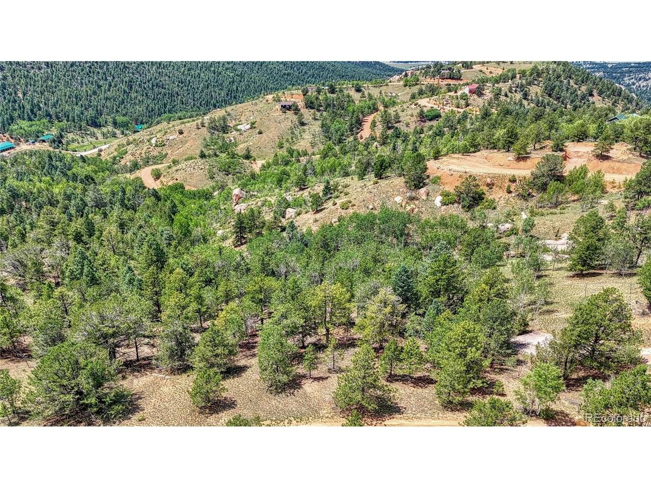 24 Wild Horse, Cripple Creek, CO 80813